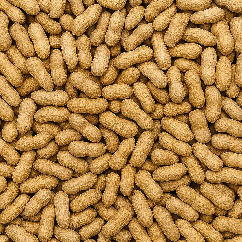 Lightly Salted Roasted Peanuts