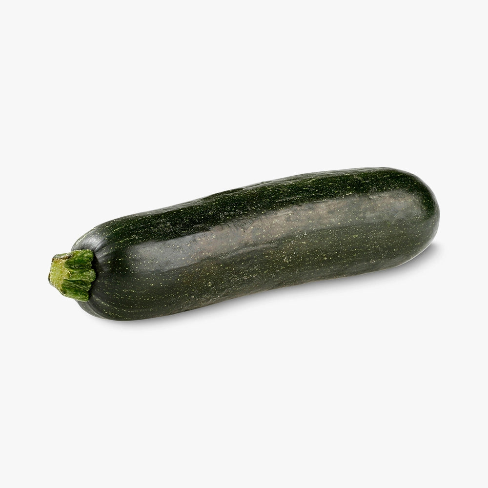 Premium Quality Fresh Green Zucchini