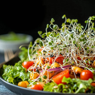 Organic Sprouting Seeds Salad Blend