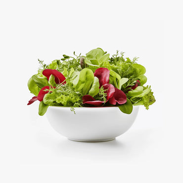 Microgreens Salad Mix Growing Kit