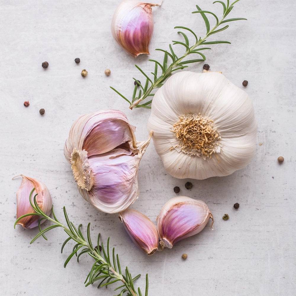 Premium Organic Fresh Garlic Bulbs