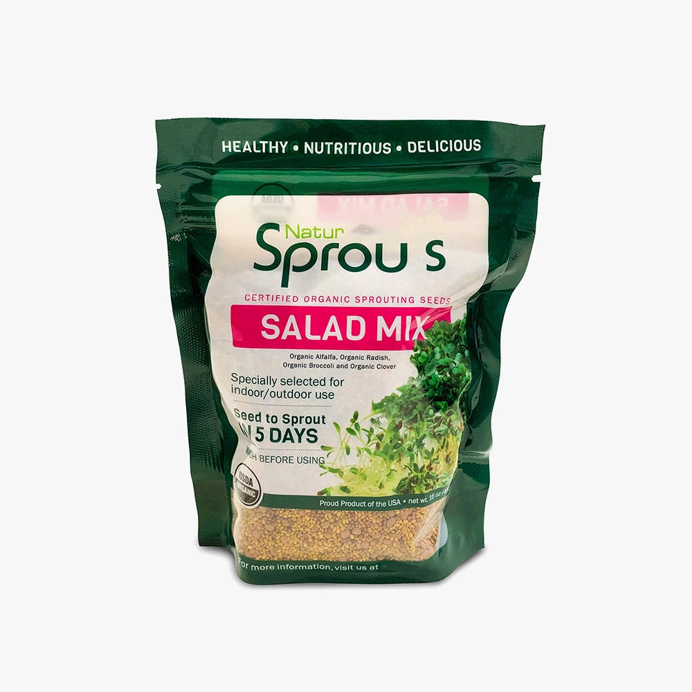 Healthy Mixed Salad Seeds Sprouting