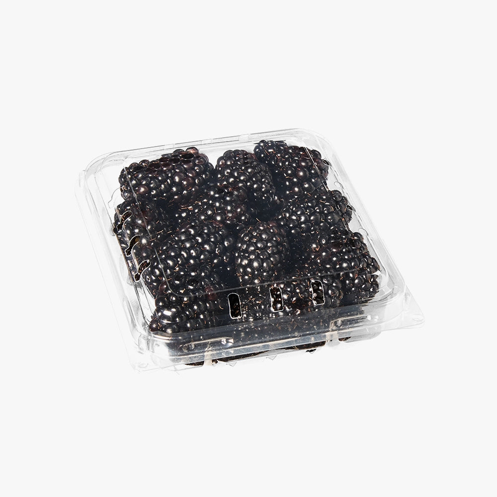 Fresh Harvested Blackberries In Chill Pack