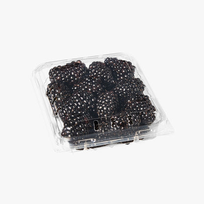 Fresh Harvested Blackberries In Chill Pack