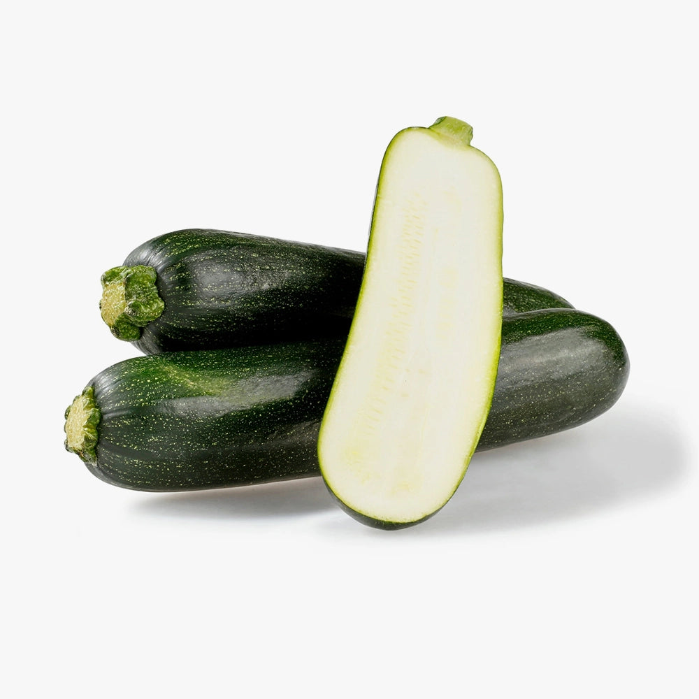Premium Quality Fresh Green Zucchini