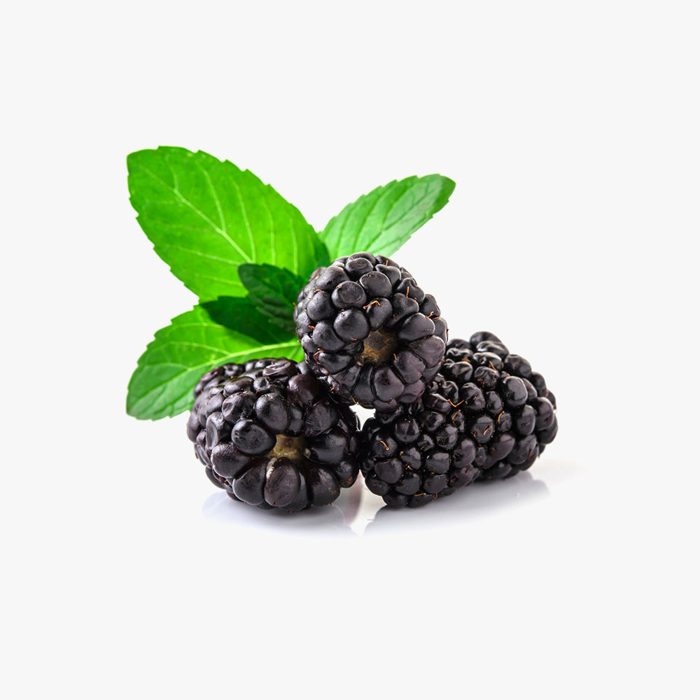 Fresh Organic Blackberries With Mint
