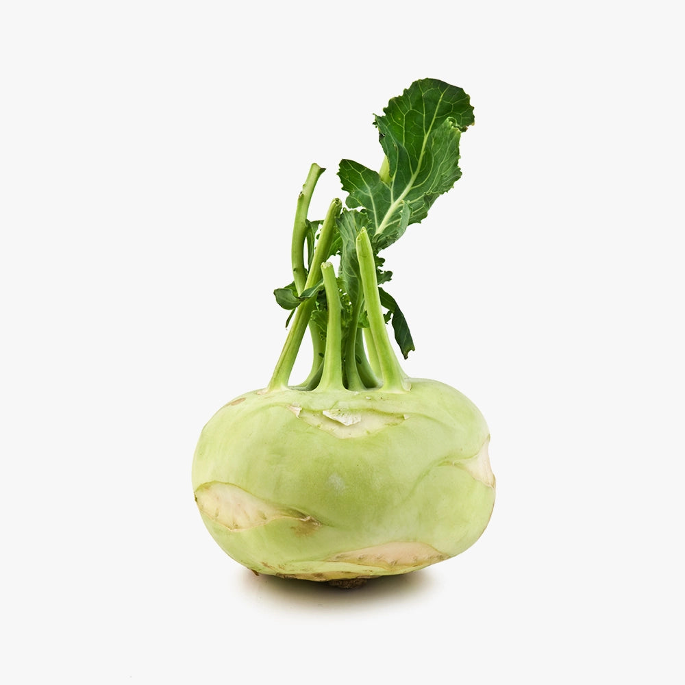Sweet Crunchy Green Kohlrabi Heads