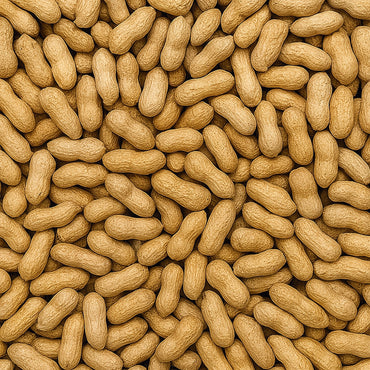 Lightly Salted Roasted Peanuts