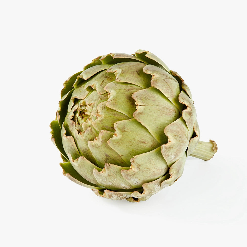 Organic Fresh Green Globe Artichoke