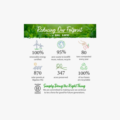 Sachets de thé vert bien-être aux herbes classiques