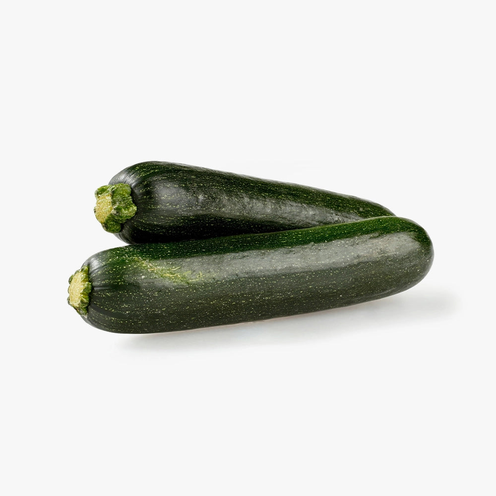Premium Quality Fresh Green Zucchini