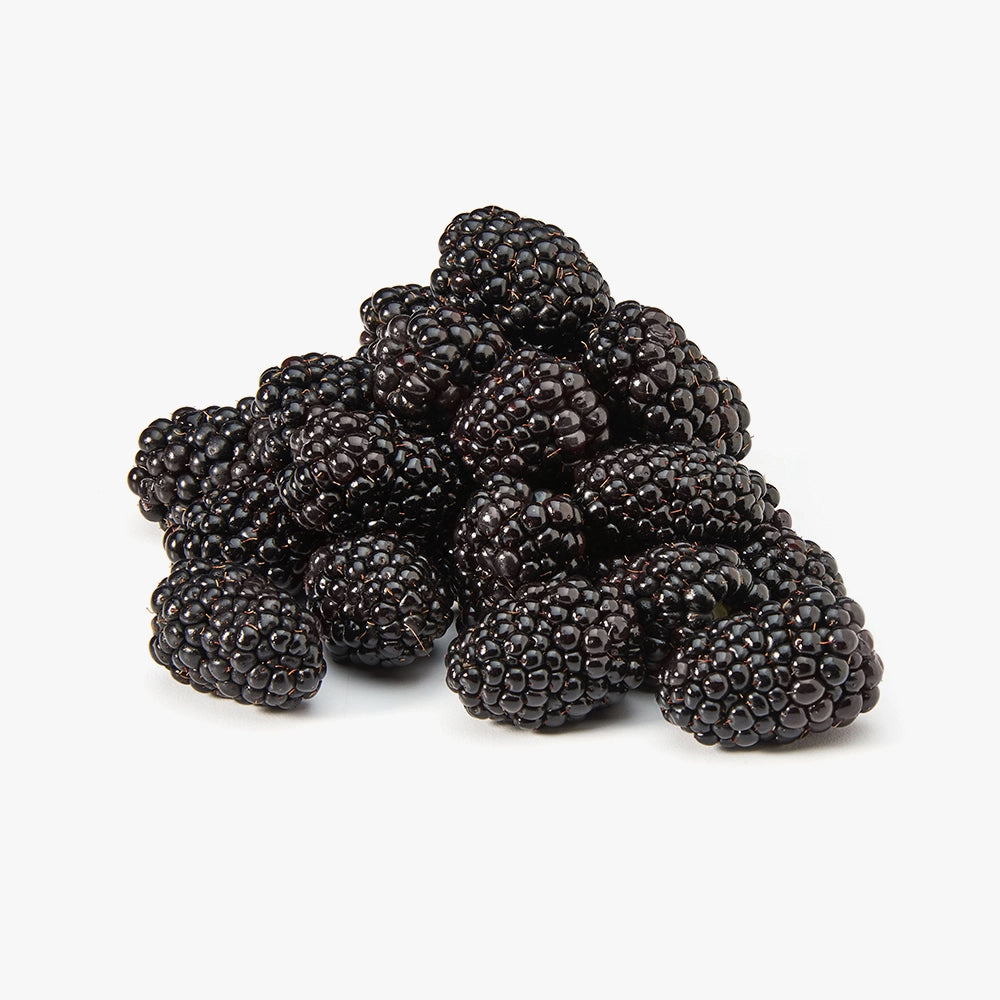 Fresh Harvested Blackberries In Chill Pack