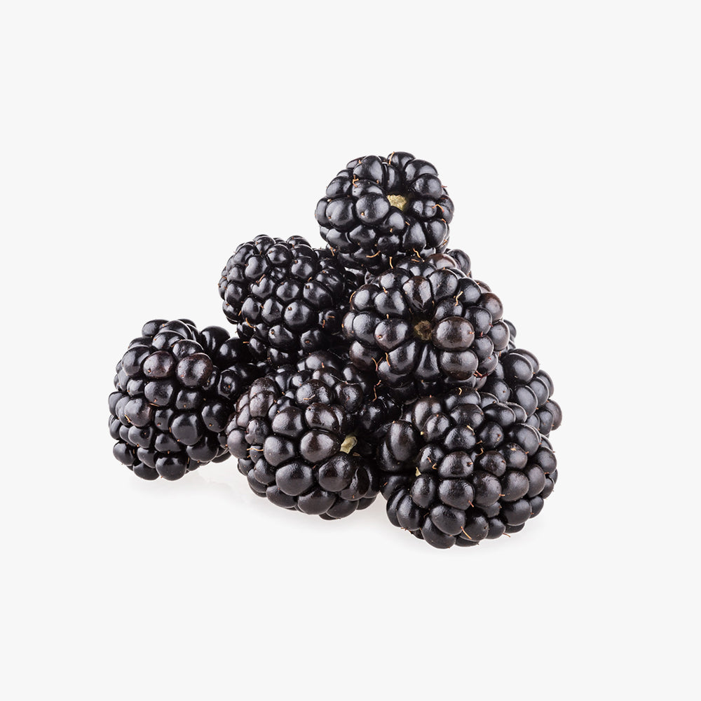 Fresh Organic Blackberries With Mint