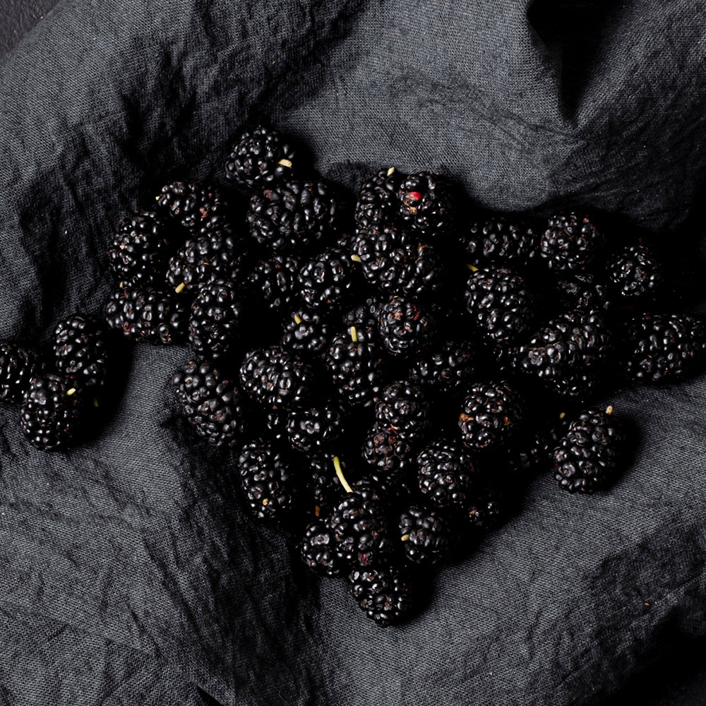 Fresh Organic Blackberries With Mint