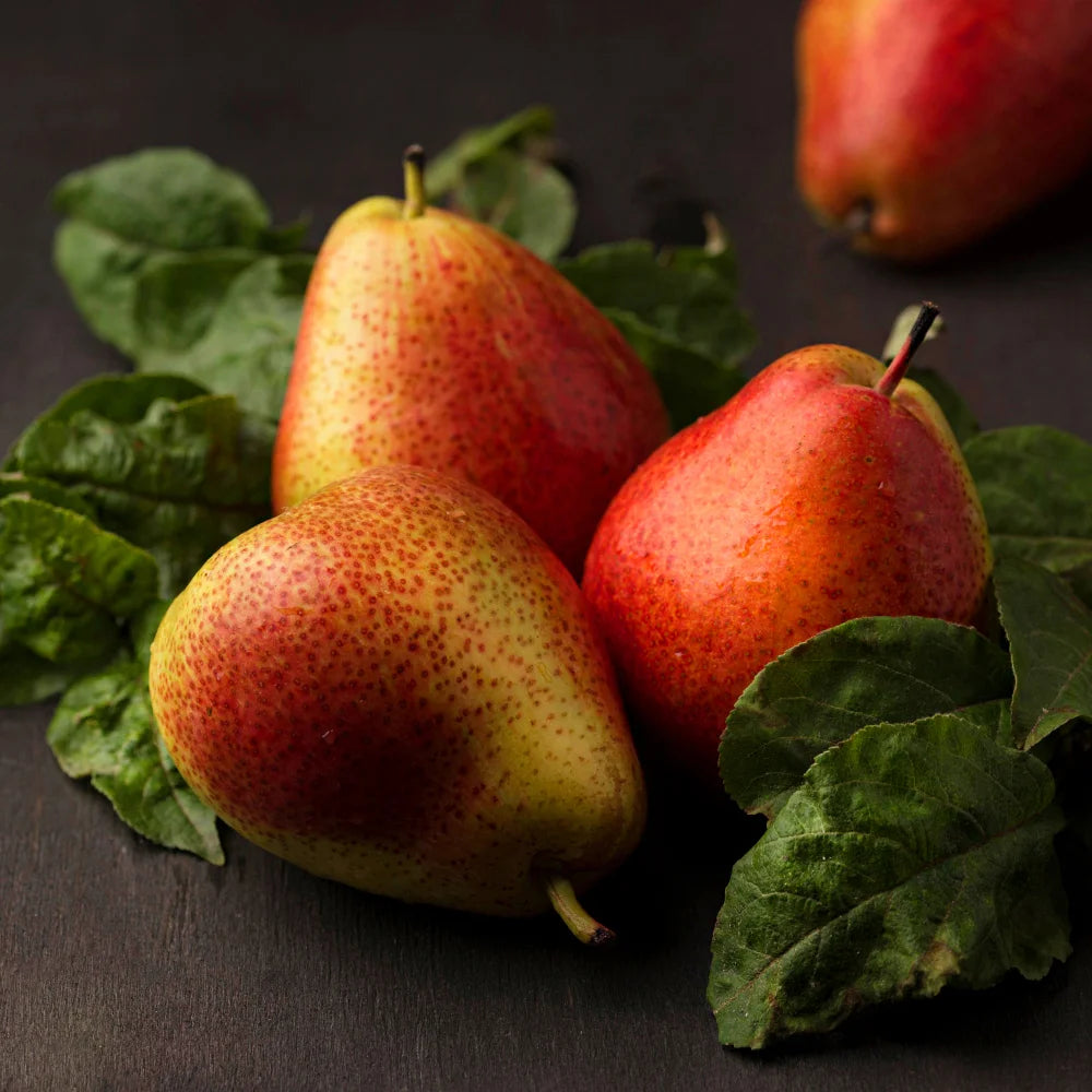Farm Fresh Crimson Red Pears