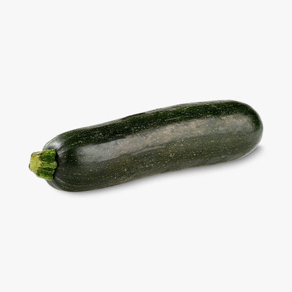 Premium Quality Fresh Green Zucchini