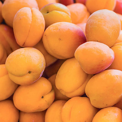 Golden Velvet Summer Sweet Peaches