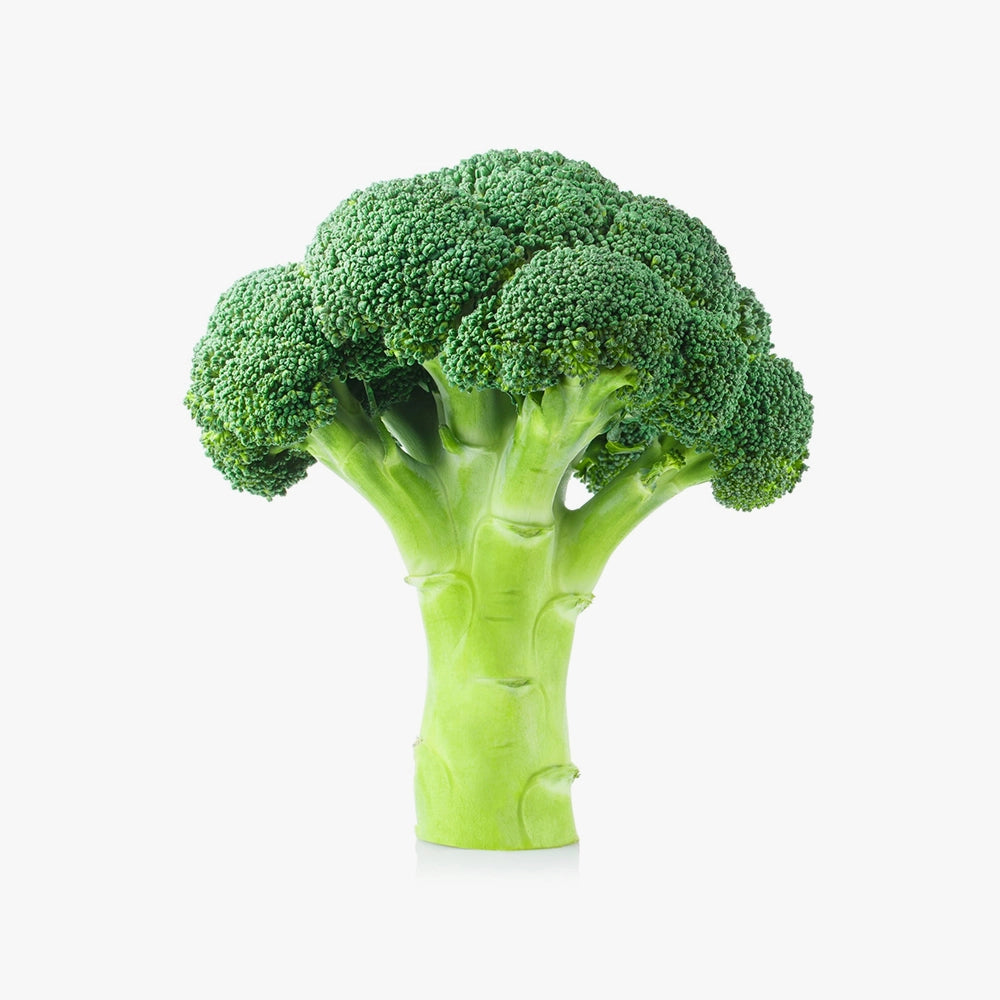 Organic Farm Fresh Green Broccoli